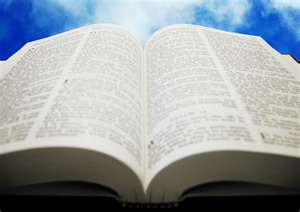 bible courtesy msn