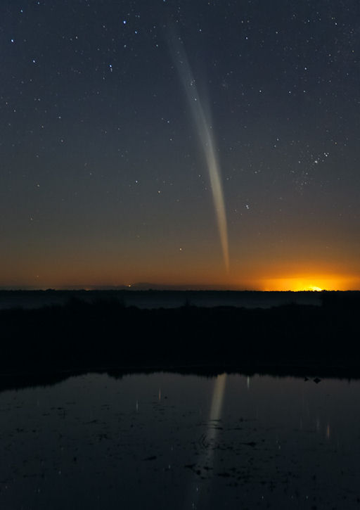 Comet-Lovejoy-rising courtesy msn