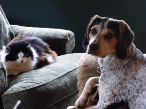 friends....