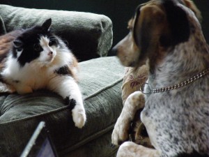 ..."sort of" friends